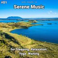 Yoga Music、Yoga、Relaxing Music - Mindfulness Audio