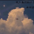 孤羽溪 - 我不再打扰你了