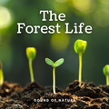 The Nature Project、Relaxcation、Relaxing Nature Sounds Collection - Healthy Mind Music