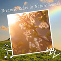 The Nature Soundscapes、Spa Atmospheres、Ambient Tech - Cicada Noise At Night