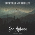 Nick Saley、Dj Pantelis - Sen Aglama