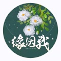 小斌 - 缘因我