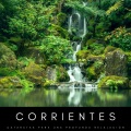Música de relajación profunda、Reiki Armonía、Aguas Pura - Cascadas Relajantes