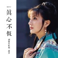 韩菲子 - 真心不假