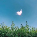 小庆幸 - 最后一次