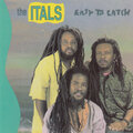 the itals - Too Much Religion