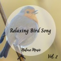 Focus and Work、Nature Field Recordings、Healing Meditation Relaxing Music Channel - Whispering Nature