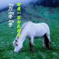 方冬冬 - 给我一匹白色的马