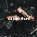 Sleeping Baby、Dorit Naim - Calm Rain & Thunder