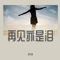 李生梦 - 再见亦是泪 )