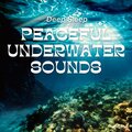 Underwater Sounds Channel、Echoes Of Nature、Water Soundscapes - Floating Under the Sea