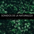 Sonidos Naturaleza、Sonidos de la naturaleza Relajacion、Paz Nirvana - En Medio Del Desierto
