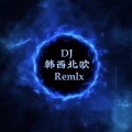 韩西北欧 - 沈员外 DJ韩西北欧Remlx