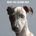 Sleepy Dogs、Music for Calming Dogs、Music for Leaving Dogs Home Alone - The Music Now Begins