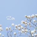 Musica Para Meditacion Profunda、Massagem Guru、Meditaciónessa - Event Horizon