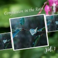 The Rain Library、Sleepy Dogs、Soft Music - Here Comes Rain Again