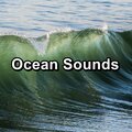 Sleep Music、Nature Sounds Radio、Echoes Of Nature - Sleepy Sea Sounds For Insomnia Relief For Taking a Nap