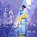 小斌 - 不要忘记我爱你