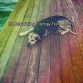 White Noise Babies - Enriching Rest