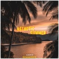 SUMMORIX、B Praak、Vishal Mishra、Asees Kaur - Mann Bharya X Ni Lagda (LofiMashup)