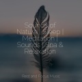 Meditation Awareness、Entspannungsmusik Oase、Studying Music - Soothing Sounds