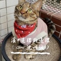 小鼓咚咚 - 溪 (Ocver 沈以诚)