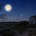 Study Alpha Waves、Rain for Deep Sleep、Sunset Chill Out Music Zone - Quiet Your Mind