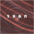 李云遥 - 九局-生死由我 (李云遥 remix)