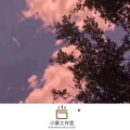 康派、弦心乐 - 你在巴黎看日落