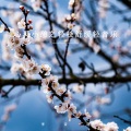 李音遇 - 山海