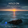 Peter Heaven、blue light orchestra - The Expiry