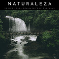 Música para Dormir Con Relajantes Sonidos de la Naturaleza、Sonidos De Aves、Musica Para Estudiar Academy - Música De Aves