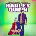 Tiny Sierra、Messiah - Harley Quinn