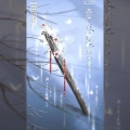苦逼君、樱雪 - 琴弦上