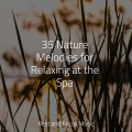 Wellness、Relaxed Minds、Kings of Nature - Sleepiness