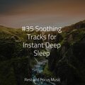 Yoga Workout Music、Sleeping Baby Songs、Deep Sleep Music Experience - Shoreline Sensation