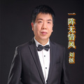 刘拯 - 一阵无情风