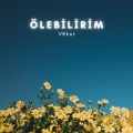 VRkot - Ölebilirim (Slowed and Reverb)