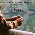 Sonidos De Pajaros、Yoga Namaste、#Relajante - Música De Agua En Movimiento