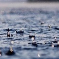 桂馥兰芳 - 8滴雨声音的音效