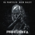Nick Saley、Dj Pantelis - Priturita