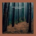 Outdoor Field Recorders - Barnyard Rain