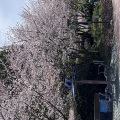 苏川karyu - 苏公堤