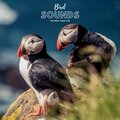 Natural Sample Makers、Nature Recordings、Natural Sound Makers - Bird Rest