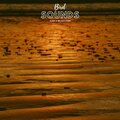 Natural Sample Makers、Nature Recordings、Natural Sound Makers - Birds Love