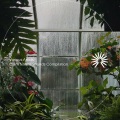 Outdoor Field Recorders - Birds in the Rain