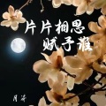 月芽 - 片片相思赋予谁