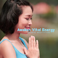 Chinese Yang Qin Relaxation Man - Oriental Waves