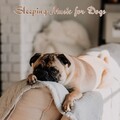 Sleepy Dogs、Music for Calming Dogs - El Fuerte