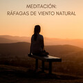 Maestros de música de la meditación、Música de Estudio Relajante、Relajacion - Naturaleza y Aves